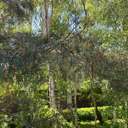 4 Winds Eurus Апартаменти *