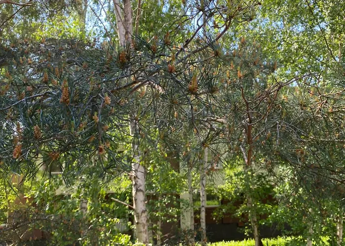 4 Winds Eurus Apartment *